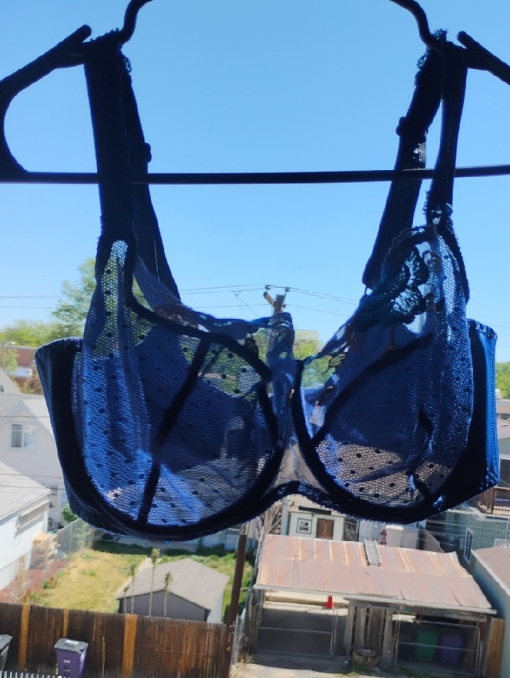 EMPREINTE Sheer Lace Underwire Bra in Deep Blue
